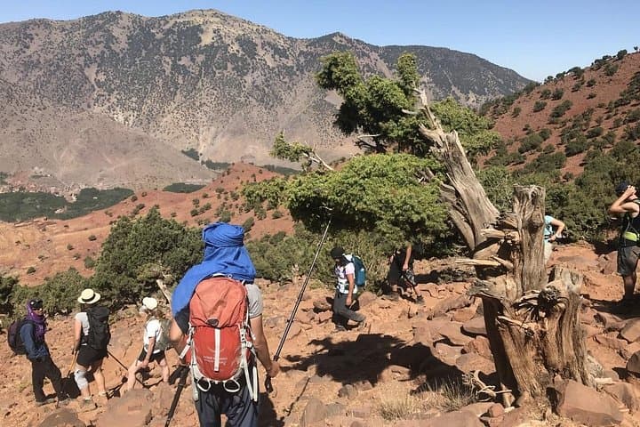 High Atlas Day Hike from Marrakech: Tizi Mzik & Tasghimoute Plateau photo 1