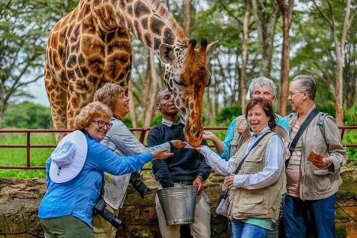 Up-Close at Nairobi Giraffe Centre: Half-Day Conservation and Nature Walk