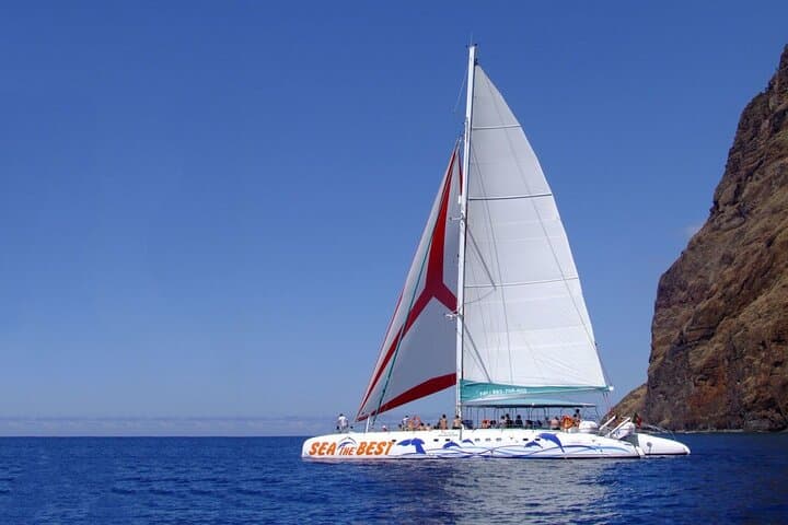 Funchal Dolphin & Whale-Watching Catamaran Tour — Madeira Marine Safari photo 4