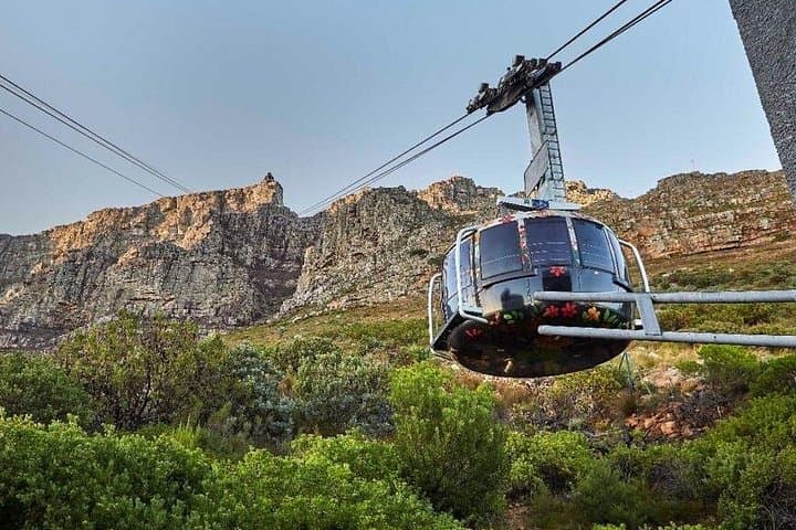 Table Mountain, Kirstenbosch & Constantia Wine Tour — Cape Town Day Trip photo 1