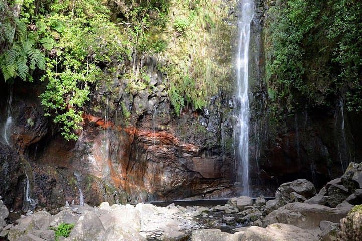 Rabacal Lakes and Fountains: Hike the 25 Fontes Levada in Madeira photo 4