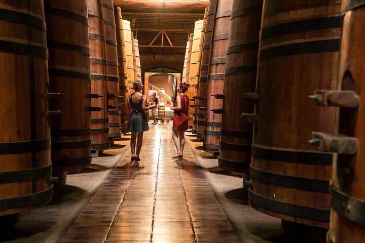 Maipo Valley Wine Experience: Cousiño Macul & Santa Rita Full-Day Tour