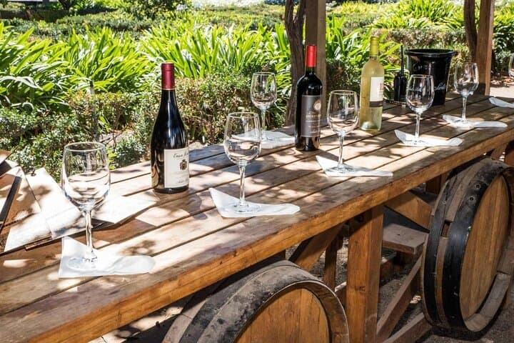 Maipo Valley Wine Experience: Cousiño Macul & Santa Rita Full-Day Tour photo 3