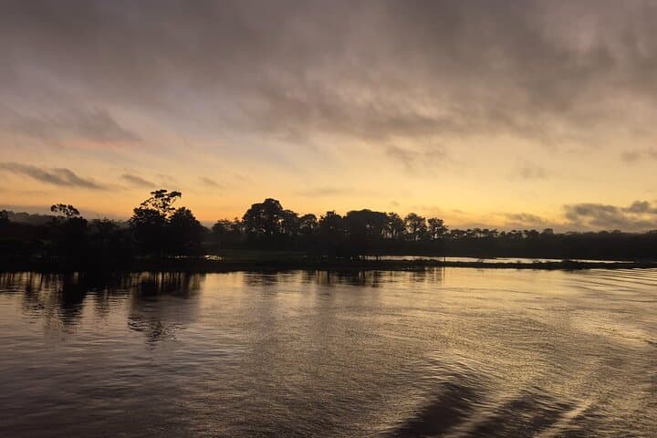 Full-Day Native Guide from Manaus to the Negro River & Anavilhanas Archipelago photo 4