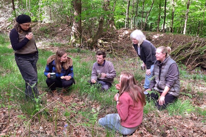 Forest Nature Therapy Near Frome — Guided Forest Bathing in Somerset Woodlands