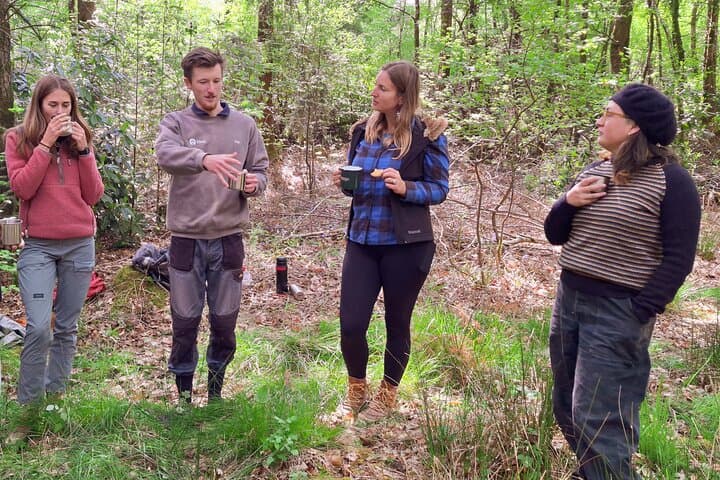 Forest Nature Therapy Near Frome — Guided Forest Bathing in Somerset Woodlands photo 3