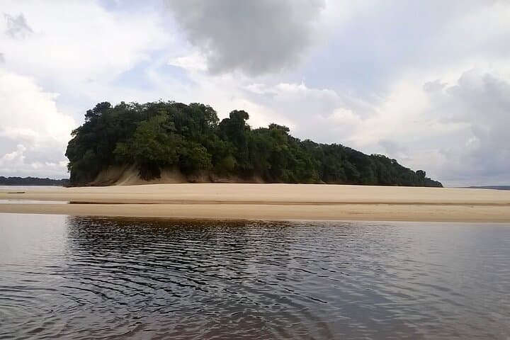 Full-Day Native Guide from Manaus to the Negro River & Anavilhanas Archipelago photo 2