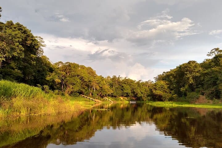 Full-Day Native Guide from Manaus to the Negro River & Anavilhanas Archipelago photo 3