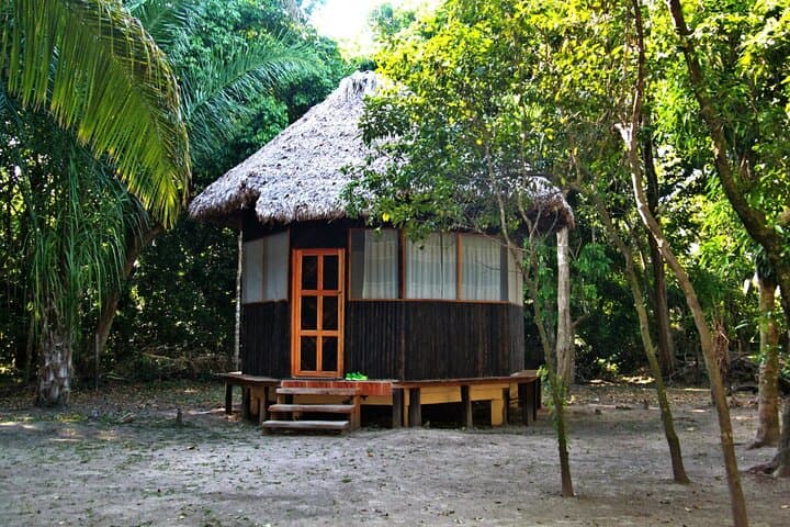 Yacuma Pampas 3-Day Jungle Tour: Pink Dolphins, Caimans & Indigenous Ecolodge photo 2