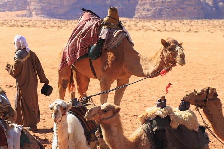 Hurghada Desert Camel Riding Tour with Hotel Transfer — 1-Hour Ride photo 4
