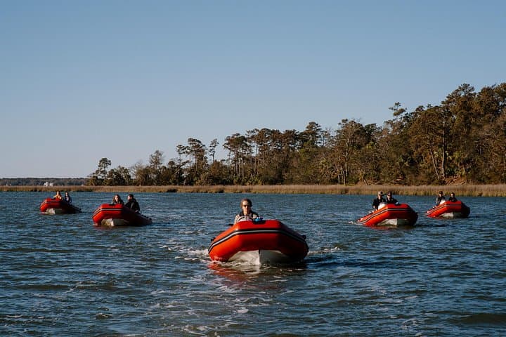 Drive-a-Mini-Boat Dolphin Tour in Hilton Head: Guided 2-Hour Sightseeing & Wildlife Cruise photo 3