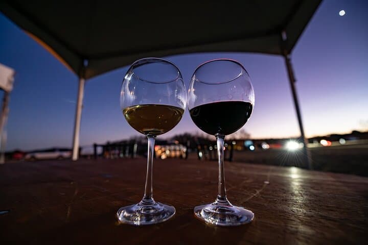 Fredericksburg Game Farm Safari and Wine Tasting: A Texas Ranch Wildlife Experience photo 4