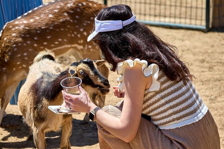 Fredericksburg Game Farm Safari and Wine Tasting: A Texas Ranch Wildlife Experience photo 5