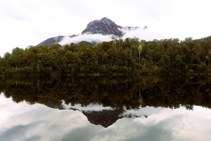 Circuito Chico Guided Walk: Llao Llao Forest, Viewpoints & Mate Picnic photo 3