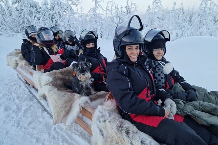 Lapland in a Day: Reindeer Encounters, Snowmobile Sleigh Ride & Lappish Snacks photo 4