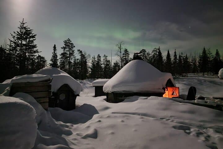 Lapland in a Day: Reindeer Encounters, Snowmobile Sleigh Ride & Lappish Snacks