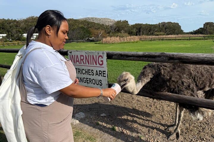 Cape Peninsula Private Full-Day: Bo-Kaap, Seal Cruise, Penguins & Cape Point photo 2