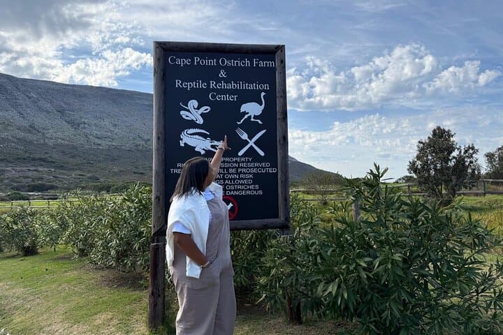 Cape Peninsula Private Full-Day: Bo-Kaap, Seal Cruise, Penguins & Cape Point photo 3
