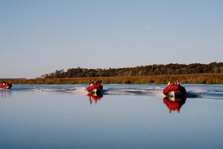 Hilton Head Sunset Dolphin Cruise: Mini-Boat Dolphin & Sightseeing Tour