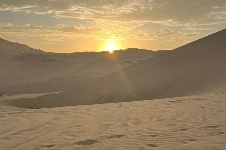 Full-Day Paracas, Ballestas & Huacachina: Ballestas Islands Cruise, Wine Tasting and Dune Adventure photo 5