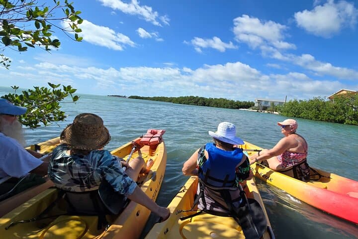 Guided Mangrove Eco Tour: Kayak & Paddleboard on Geiger Key (From Key West)
