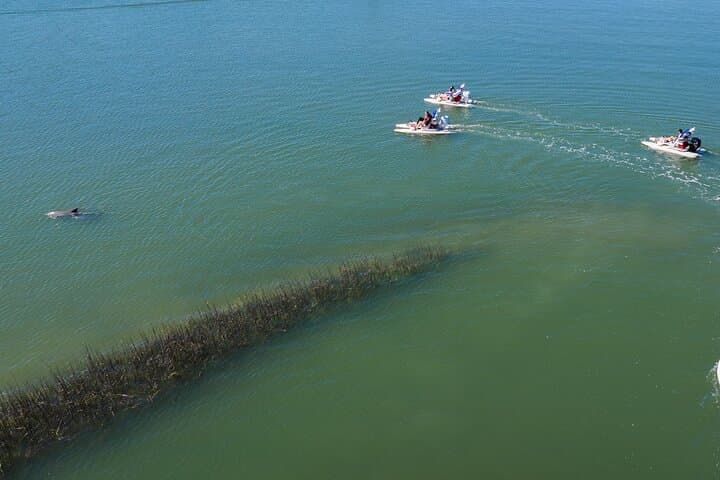 Hilton Head Creek Cat Tour: 2-Hour Guided Water Adventure photo 3