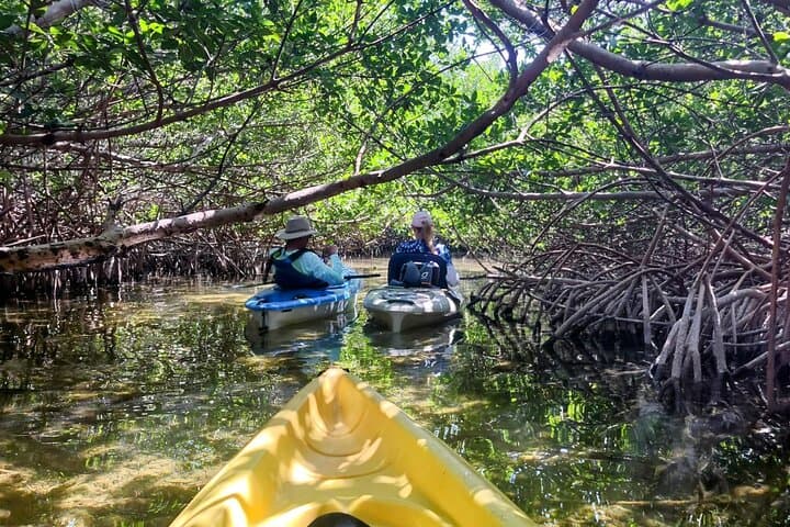 Sightseeing Tour in Sugarloaf Key, Florida