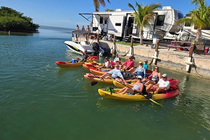 Guided Mangrove Eco Tour: Kayak & Paddleboard on Geiger Key (From Key West) photo 2