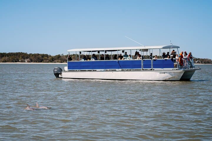 Hilton Head Island Dolphin Cruise: Scenic Broad Creek Boat Tour photo 3