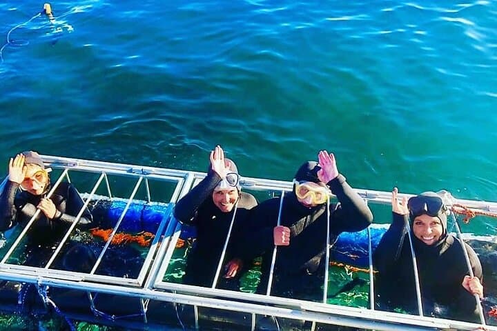 Cape Town Shark Cage Diving: Up-Close Great White Encounters photo 2