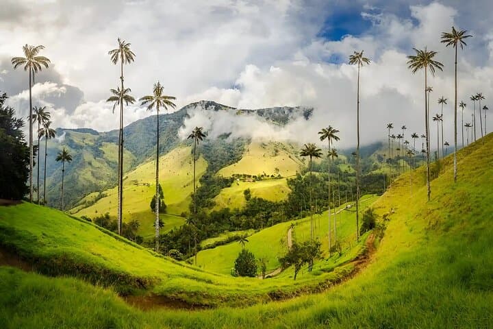 Cocora Valley Shared Tour from Salento: Wax Palms, Jeep Willys & Short Hikes photo 6