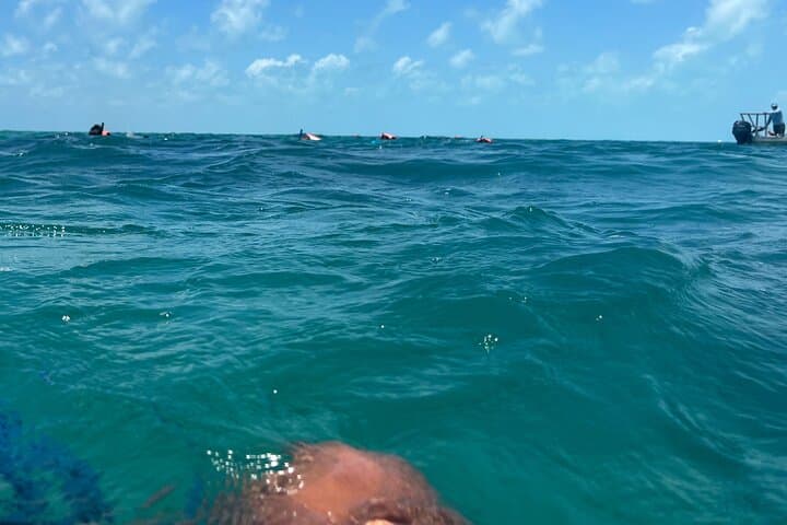 Tulum 3-in-1: Ruins, Snorkel the Mesoamerican Reef & Hidden Cenote photo 4