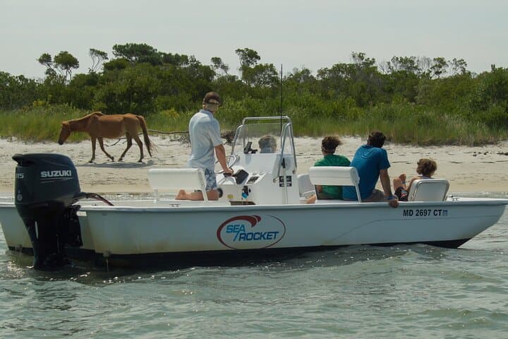 Back Bay Sunset Cruise in Ocean City — 75-Minute Private Party Charter photo 5