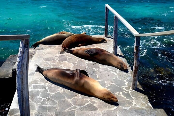 Bartolomé Island Yacht Adventure: Hike Pinnacle Rock & Snorkel with Galápagos Wildlife photo 2