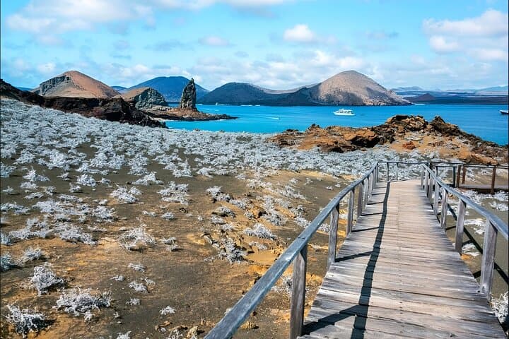 Bartolomé Island Yacht Adventure: Hike Pinnacle Rock & Snorkel with Galápagos Wildlife photo 3