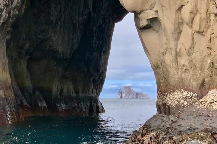 San Cristóbal Snorkel 360: Kicker Rock, Bahía Rosa Blanca & Punta Pitt Day Trip photo 5