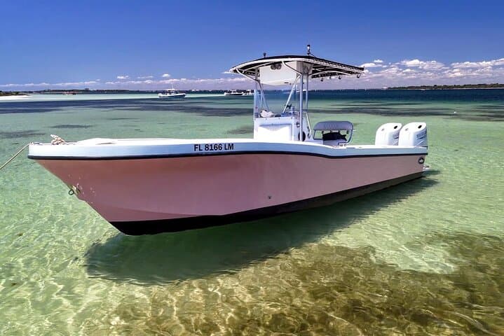 Panama City Beach Sunset Dolphin Cruise & Snorkel Adventure photo 2