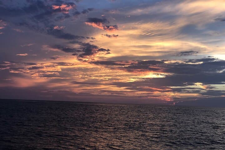 Panama City Beach Sunset Dolphin Cruise & Snorkel Adventure photo 6