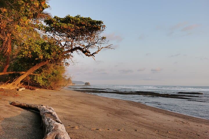 Coastal Mindfulness: Guided Beach Meditation and Coaching in Costa Rica's South Caribbean photo 3