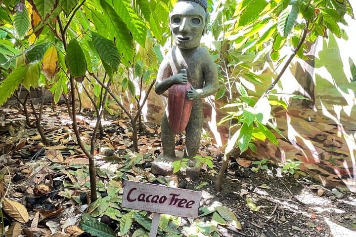 Sabor Dominicano: Puerto Plata Rum, Chocolate & Cigar Private Tour photo 5