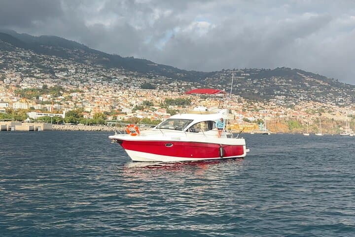 Madeira Private Yacht Charter: Whale Watching, Snorkeling & Sunset Cruises