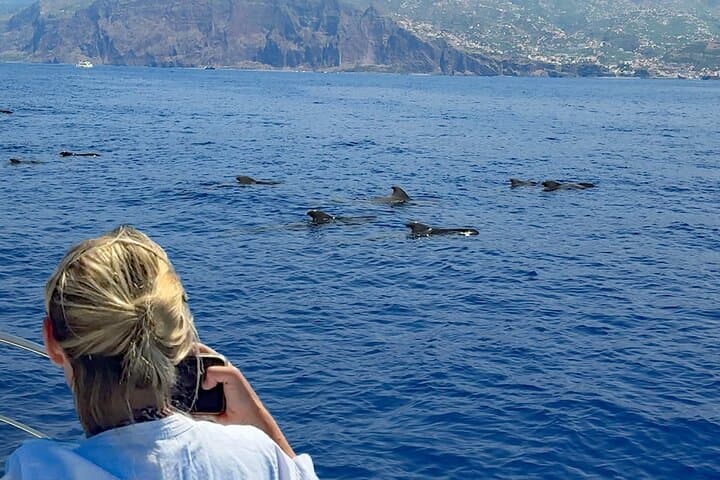 Madeira Private Yacht Charter: Whale Watching, Snorkeling & Sunset Cruises photo 4