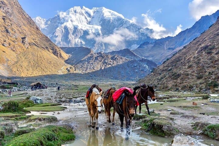 Salkantay Trek 5-Day Classic: From Snow-Capped Passes to Cloud Forest photo 4