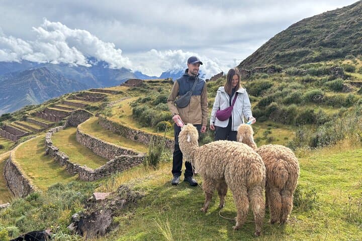 Moray & Maras Day Tour with Alpaca Walk — Cusco Sacred Valley Experience photo 2
