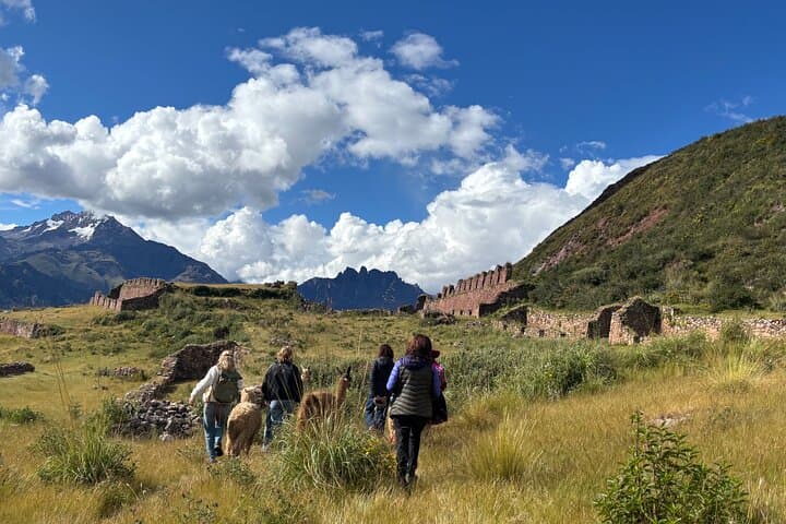 Moray & Maras Day Tour with Alpaca Walk — Cusco Sacred Valley Experience photo 4