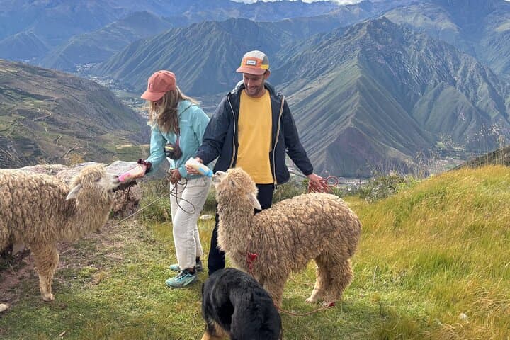 Moray & Maras Day Tour with Alpaca Walk — Cusco Sacred Valley Experience photo 5