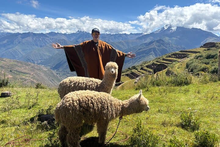Moray & Maras Day Tour with Alpaca Walk — Cusco Sacred Valley Experience photo 6