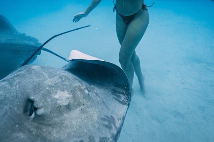 Lagoon Snorkel and Motu Lunch — Discover Moorea's Wild Coast photo 2