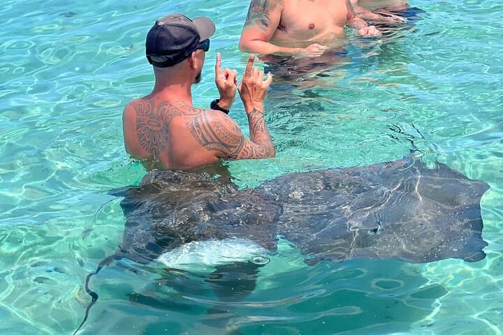 Lagoon Snorkel and Motu Lunch — Discover Moorea's Wild Coast photo 3