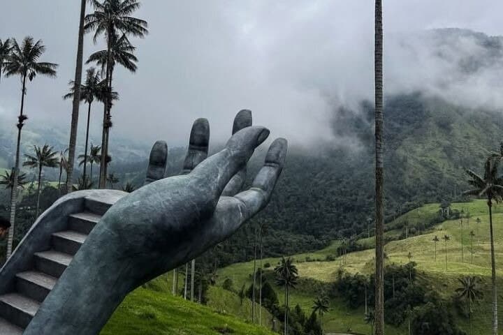 Cocora Valley Shared Tour from Salento: Wax Palms, Jeep Willys & Short Hikes